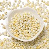 Baking Paint Glass Seed Beads X1-SEED-F006-01A-01-2