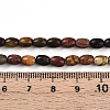 Natural Picasso Jasper/Polychrome Jasper Beads Strands G-N346-02A-05-5