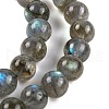 Natural Gemstone Labradorite Round Beads Strands G-E251-33-6mm-01-6