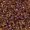 Spray Painted Glass Seed Beads SEED-F005-04A-01-3