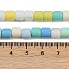 Handmade Lampwork Beads Strands LAMP-S070-06D-4