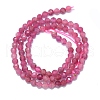 Natural Tourmaline Beads Strands G-G106-C02-03-2