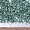 MIYUKI Round Rocailles Beads SEED-G007-RR2028-3