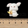 Opaque Resin Cabochons RESI-F049-02B-3