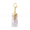 Natural Amethyst Chips inside Glass Wishing Bottle Pendant Decoration HJEW-JM03307-04-4