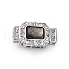 Rectangle Brass Micro Pave Clear Cubic Zirconia Box Clasps KK-G505-36P-01-1