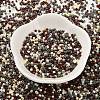 Baking Paint Glass Seed Beads X-SEED-S042-05B-55-2