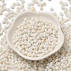 Baking Paint Glass Seed Beads SEED-F006-01A-15-2