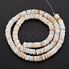 Natural Freshwater Shell Beads Strands SHEL-T018-31-3