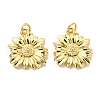Rack Plating Brass Pendants KK-D026-11G-2