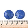 Natural Lapis Lazuli Cabochons G-A265-01E-3