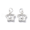 925 Sterling Silver Charms STER-D302-05C-S-1
