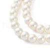 Shell Pearl Beads Strands BSHE-XCP0001-74A-4