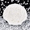 Glass Seed Beads SEED-T008-01A-3