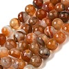 Natural Agate(Dyed & Heated) Beads Strands G-H066-B08-03-2