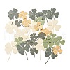 Scrapbook Paper Pad DIY-U010-01C-2