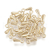 Alloy Charms PALLOY-R069-LG-1