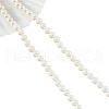 Glass Pearl Beads Strands SHEL-WH0001-009A-1-2