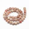 Natural Sunstone Beads Strands G-R447-10mm-02-2