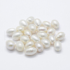 Natural Cultured Freshwater Pearl Beads PEAR-P056-022-01-1