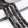 Natural Biotite Beads Strands G-T140-39A-1