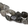 Natural Labradorite Beads Strands G-Q060-E20-02-4