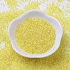 MIYUKI Delica Beads SEED-J020-DB0171-2