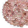 Natural Strawberry Quartz Beads Strands G-P573-C04-01-3