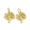 Brass Micro Pave Cubic Zirconia Charms KK-E068-VF063-2