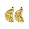Fruit Seris 304 Stainless Steel Enamel Charms STAS-U060-03G-07-1