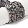 Natural Iolite Beads Strands G-G188-B04-06A-1
