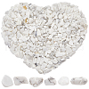 SOFPLATE 500G Howlite Chip Beads G-SP0001-04-1