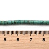 Natural Howlite Beads Strands G-F791-A01-5