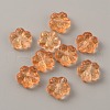 Transparent Glass Beads GLAA-CJC0001-17B-2
