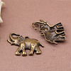 Tibetan Style Alloy Pendants PALLOY-N0118-098-1