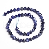 Natural Sodalite Beads Strands G-E560-B02-2