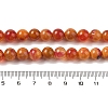 Natural Agate Bead Strands G-C116-B01-03-5