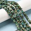 Natural Turquoise Beads Strands G-P506-01-4