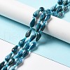 Natural Apatite Beads Strands G-B028-A09-2