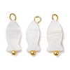 Natural Freshwater Shell Fish Charms PALLOY-JF02820-1