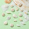 48Pcs 4 Styles Natural Shell Beads BSHE-YW0001-06-5