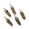 Natural Unakite Pendants G-K329-39P-1