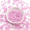 Baking Paint Glass Seed Beads X1-SEED-A032-02S-2