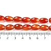 Natural Carnelian Beads Strands G080-4