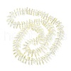 Electroplate Glass Beads Strands GLAA-K061-04-3