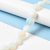 Opalite Beads Strands G-K335-01J-5