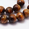 Natural Tiger Eye Beads Strands G-N0179-16-10mm-3