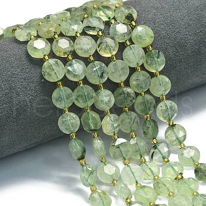 Natural Prehnite Beads Strands G-C116-A115-01-1