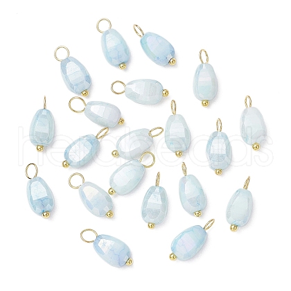 20Pcs Opaque Baking Painted Crackle Glass Charms PALLOY-JF03952-04-1