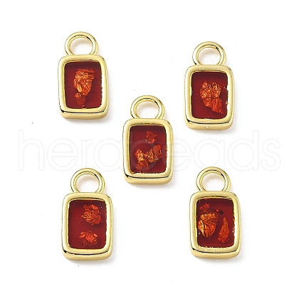 Epoxy Resin Charms KK-Z114-21G-03-1